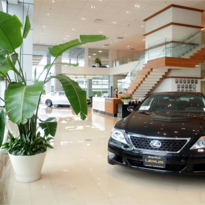 Luxury Car Dealership Luxury Car Dealership