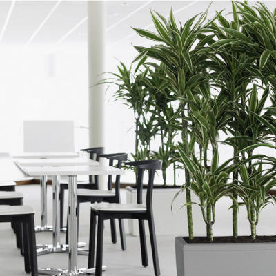 Corporate Offices Melbourne Corporate Offices Melbourne