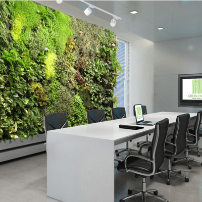 Corporate Office Plant Hire Corporate Office Plant Hire