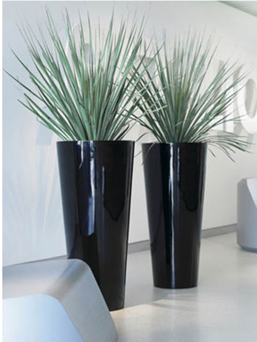 Indoor Plant Hire Melbourne