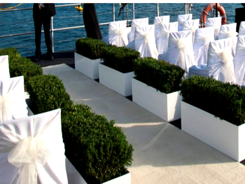 Events & Weddings 005