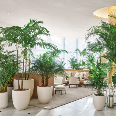 5 Star Hotels 5 Star Hotels