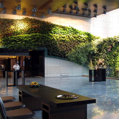 Hotel Indoor Plants Hire