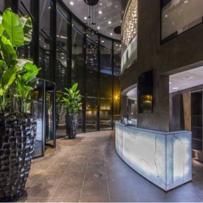 Indoor Plants Hire For Hotel