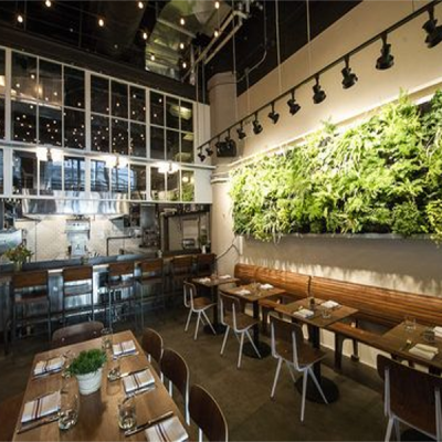 Restaurants Indoor Plants Hire