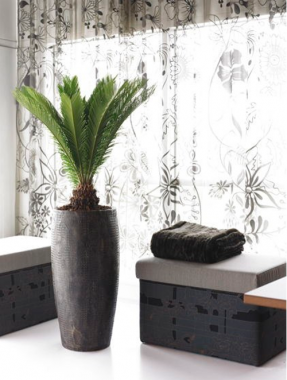 Round Black Floor Pots Round Black Floor Pots