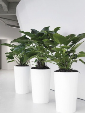 Round White Floor Pots